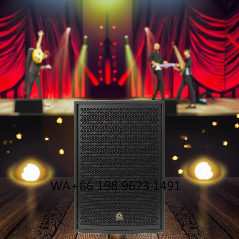 مكبرات صوت احترافية عالية القد - مراجعة Full Range Speaker وسعره